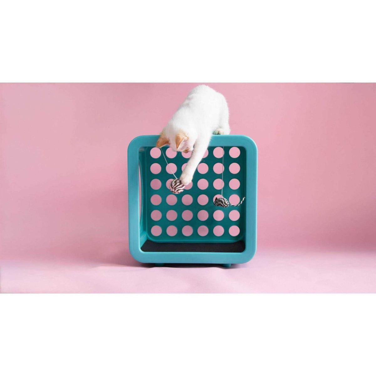 Cat House I9394