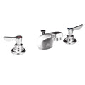 Widespread Bathroom Faucet G45722