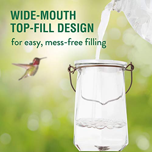 Bronze Glass Hummingbird Feeder 28 oz D499