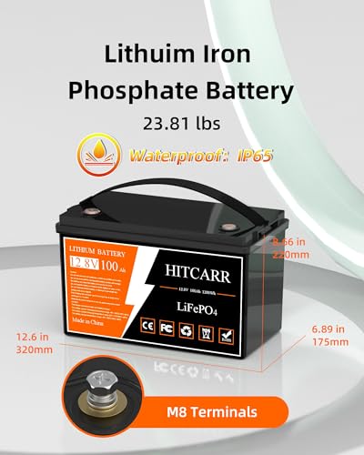 12V 100Ah LiFePO4 Deep Cycle Rechargeable Battery with BMS G238953