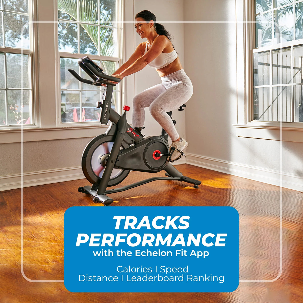 Indoor Cycling Exercise Bike D41362