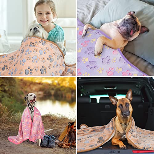 1 Pack 3 Soft Fluffy Fleece Pet Blanket D5219