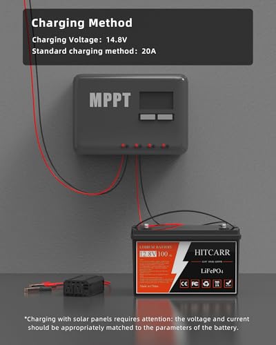 12V 100Ah LiFePO4 Deep Cycle Rechargeable Battery with BMS G238953