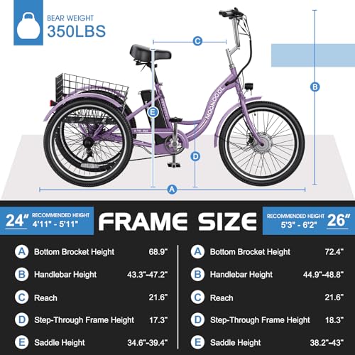 350W 36V 7 Speeds 3 Wheels Electric Tricycle with Large Basket W398