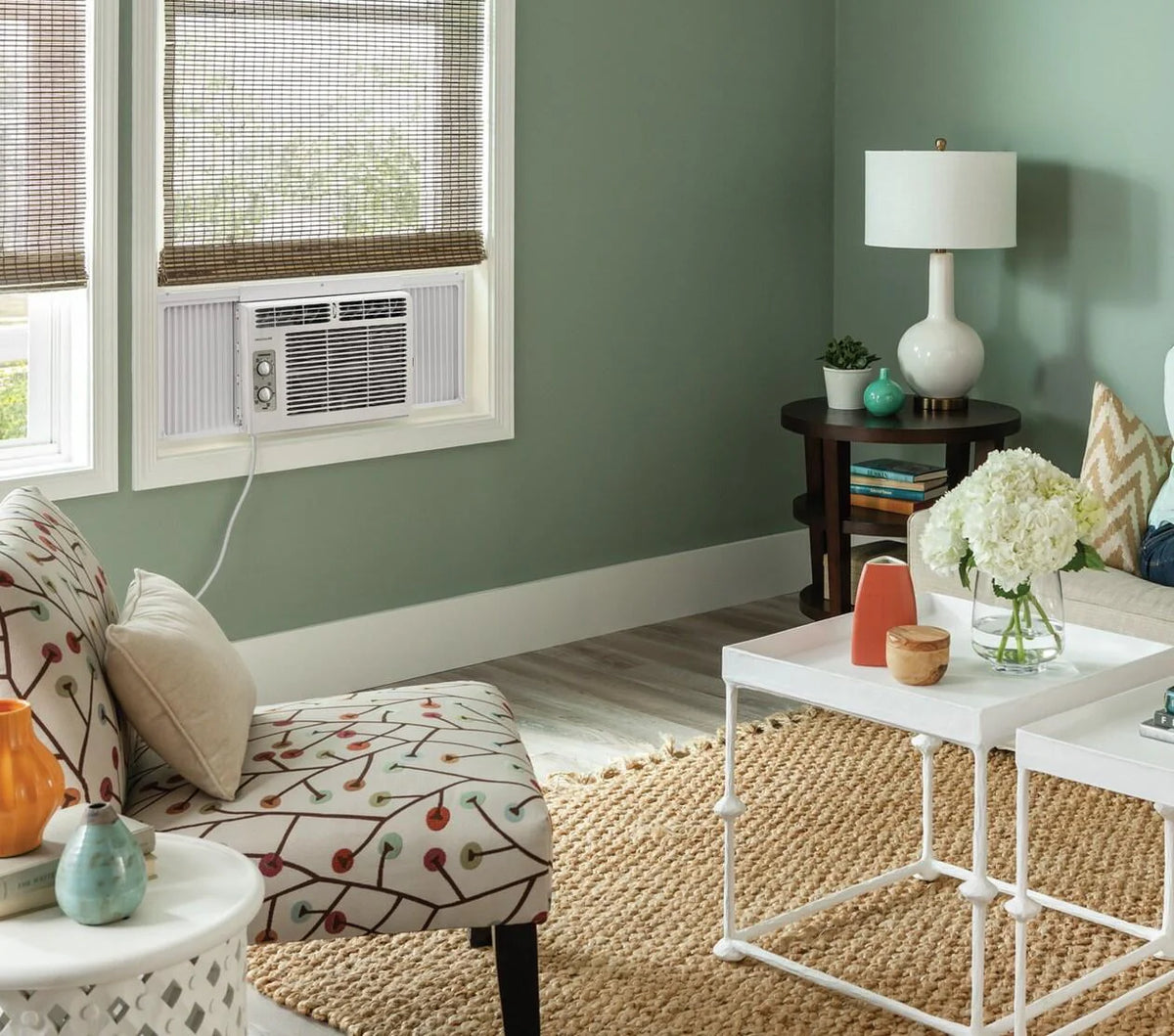5,000 BTU Window-Mounted Air Conditioner E233