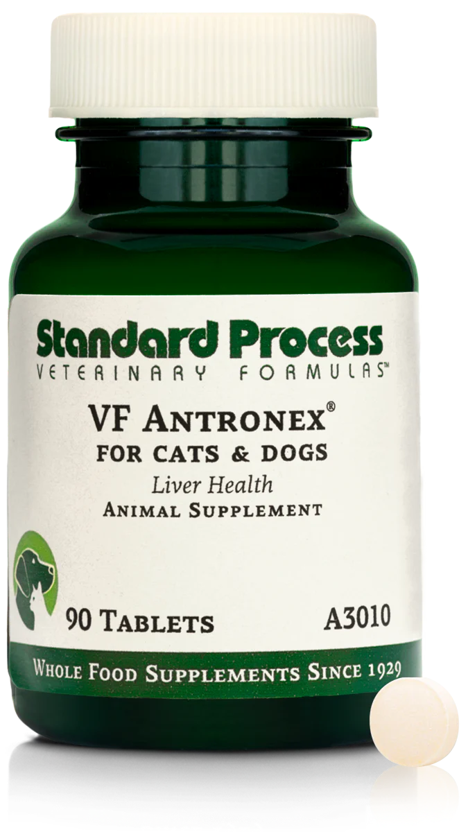 90 Tablets B7616