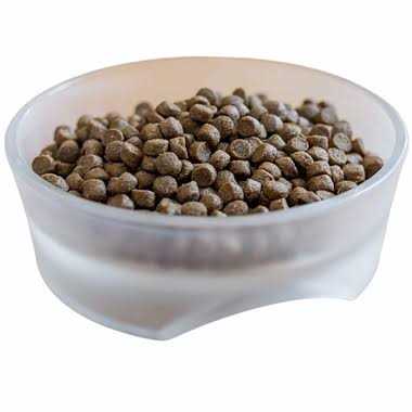 Active Dry Dog Food O186