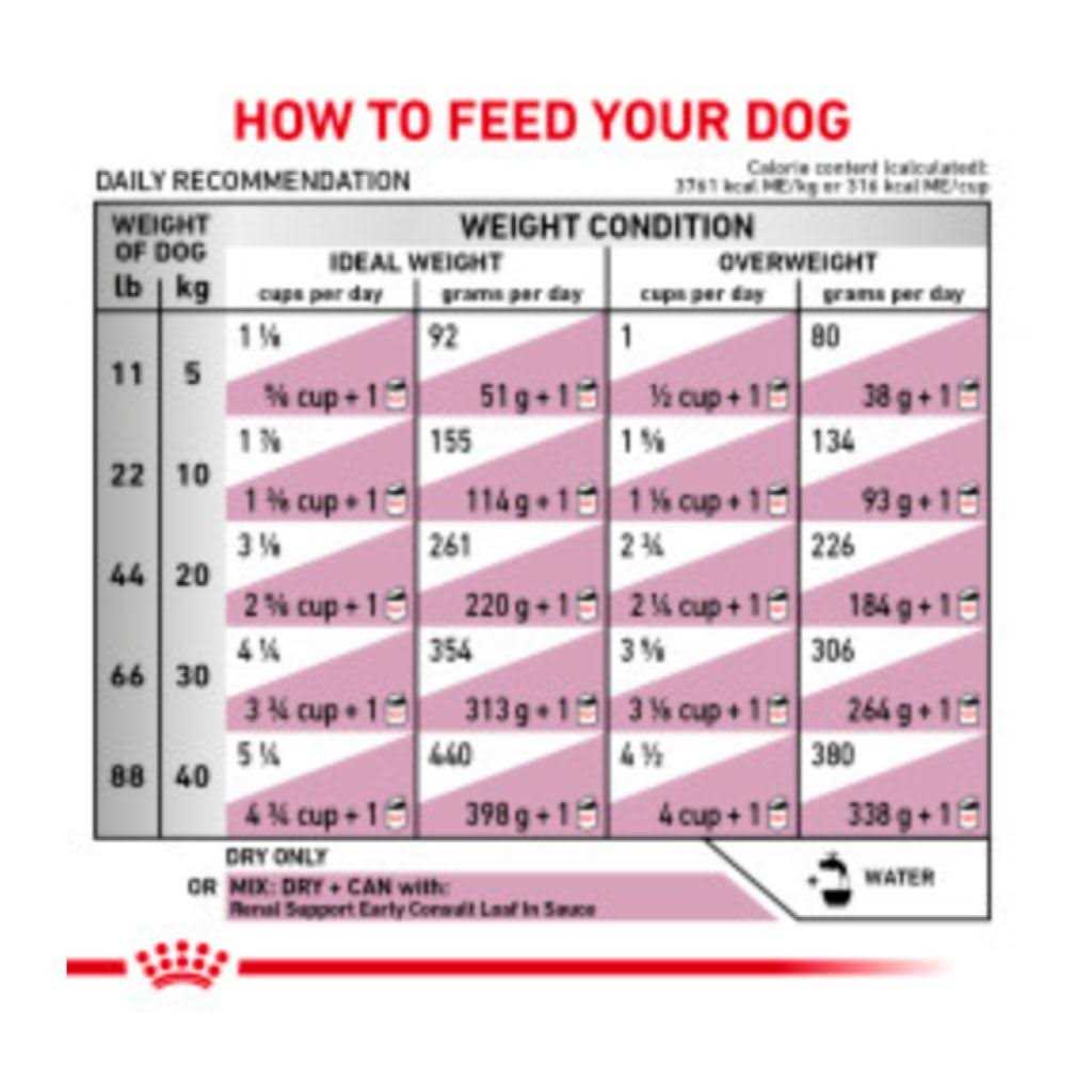 Veterinary Diet Canine Renal Support Dry Dog Food T4263