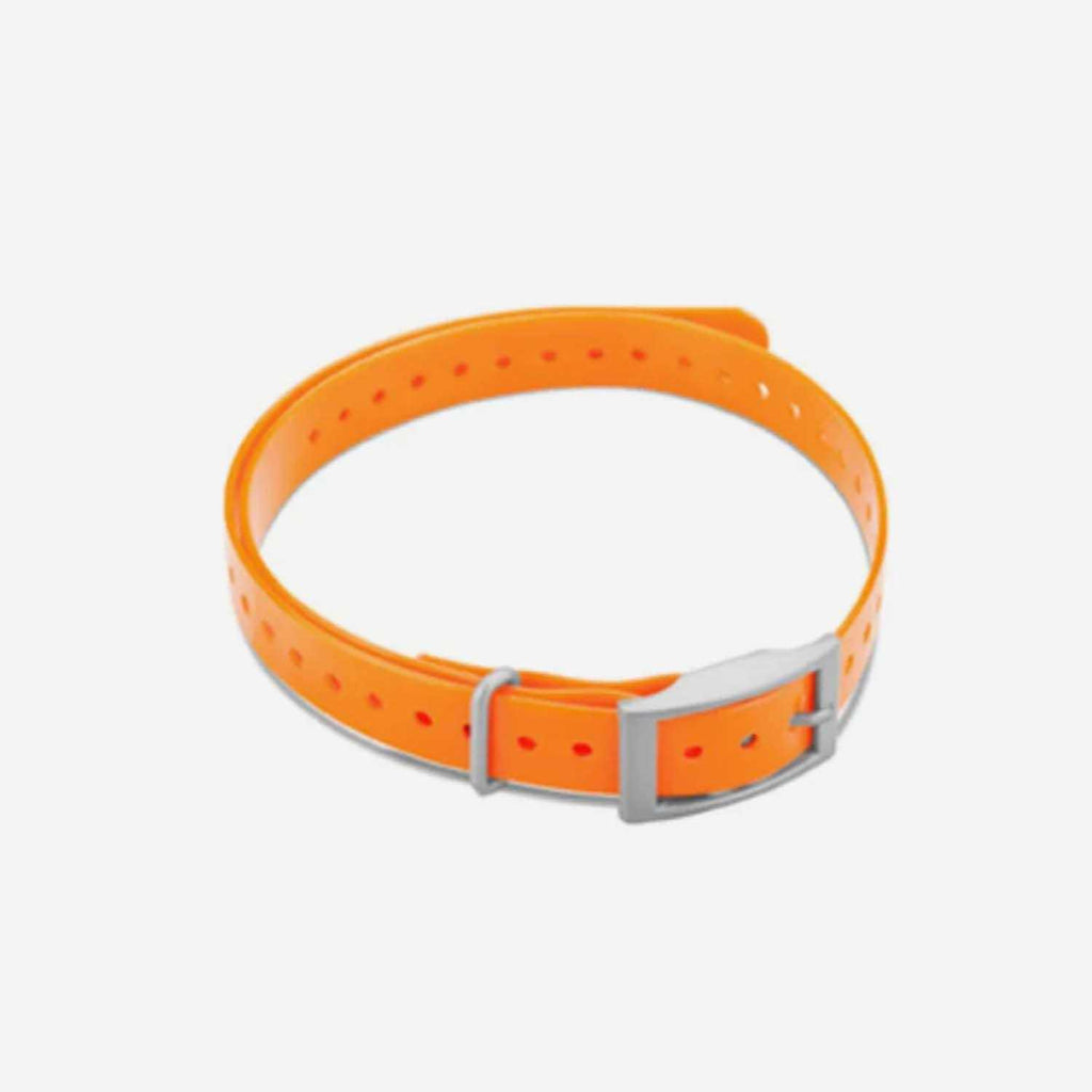Collar Strap D92494