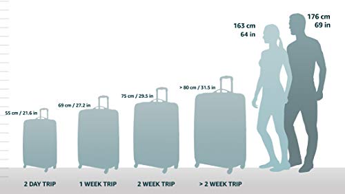 Hardside Spinner Wheel Luggage, Carry-On 20" Y3377