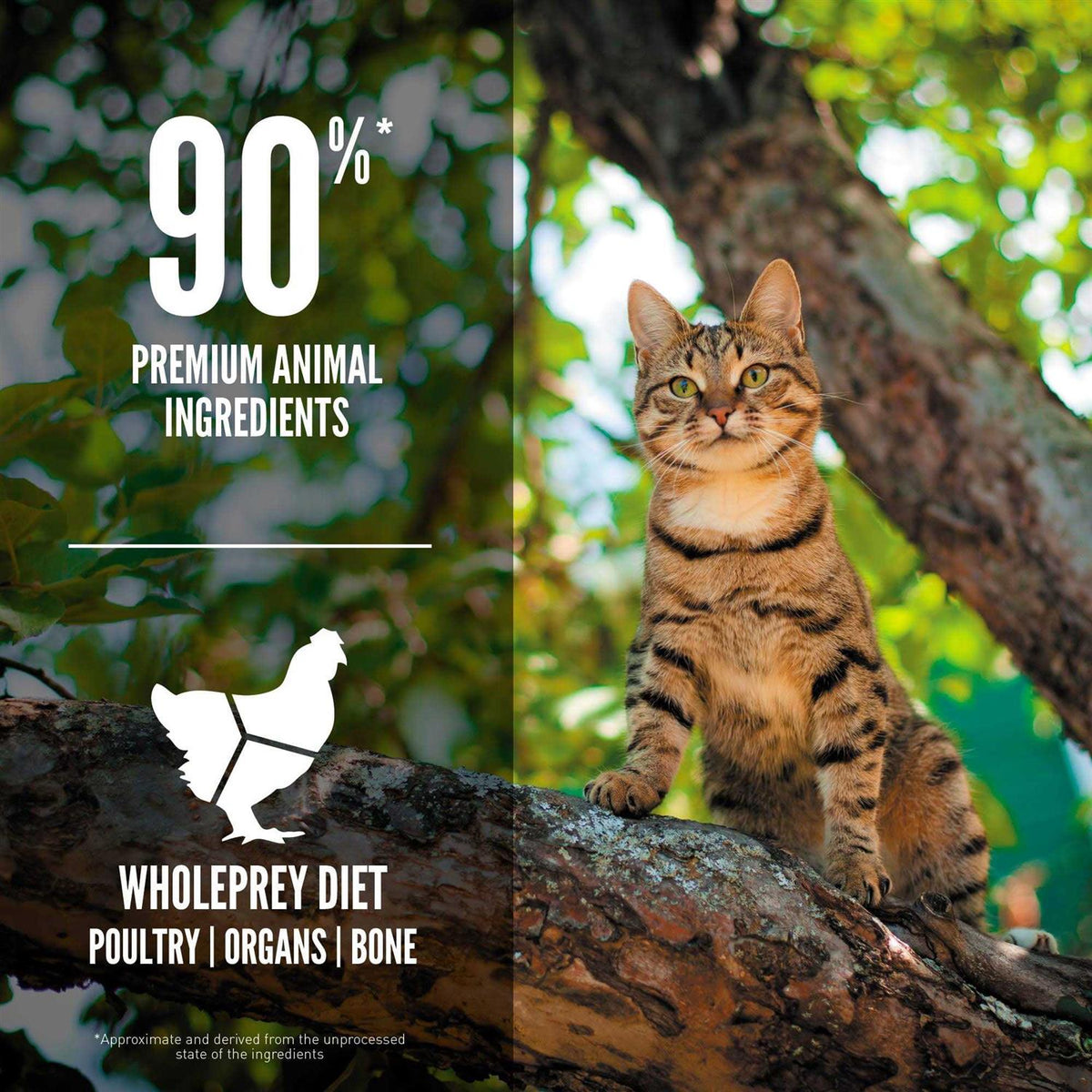 Dry Cat Food S864