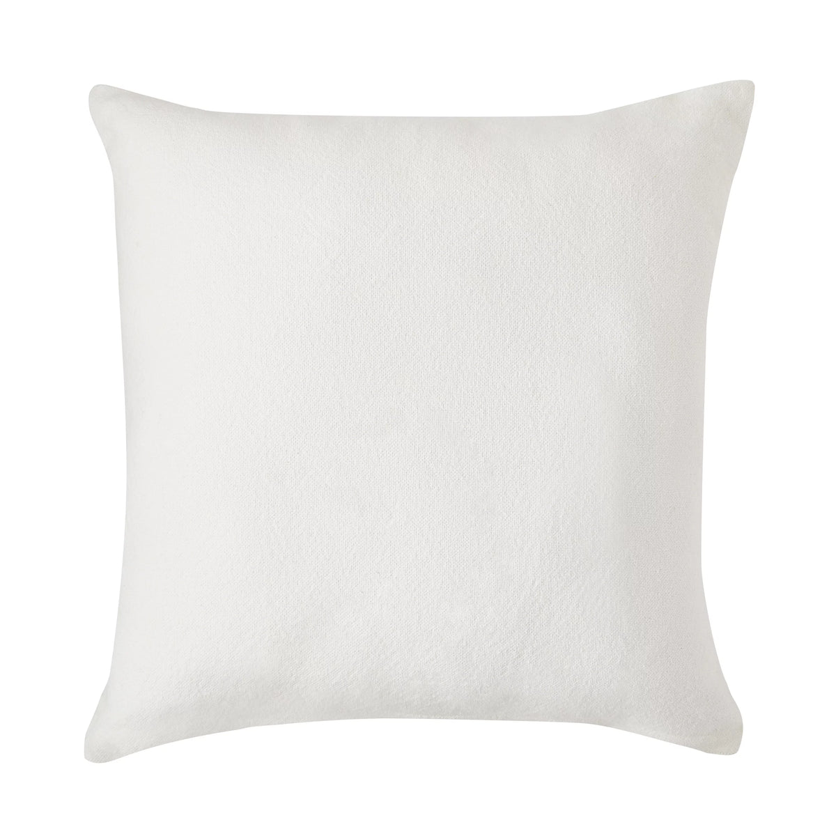 Beige Cactus 20 x 20 Pillow N6760