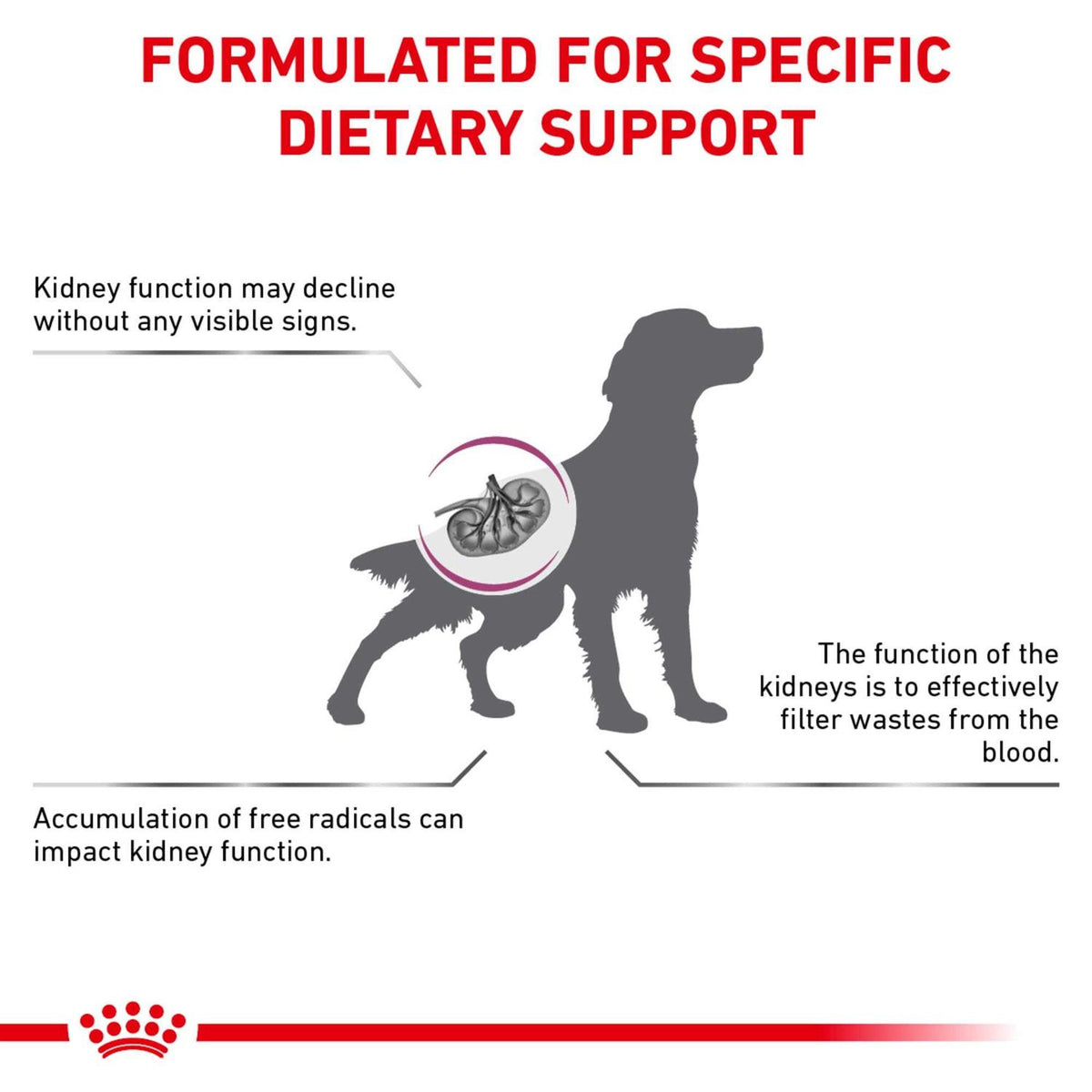 Veterinary Diet Canine Renal Support Dry Dog Food T4263