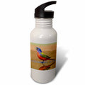 21 oz Sports Water Bottle C7275