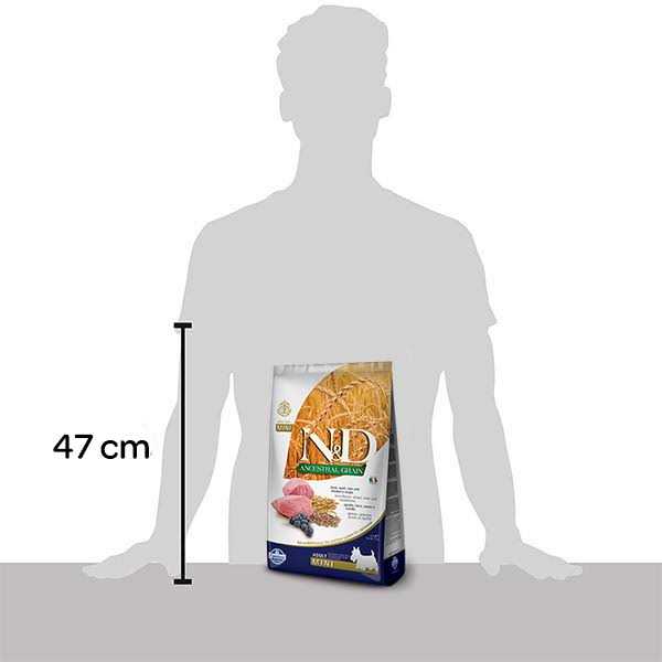 Chicken & Pomegranate Dry Dog Food H585