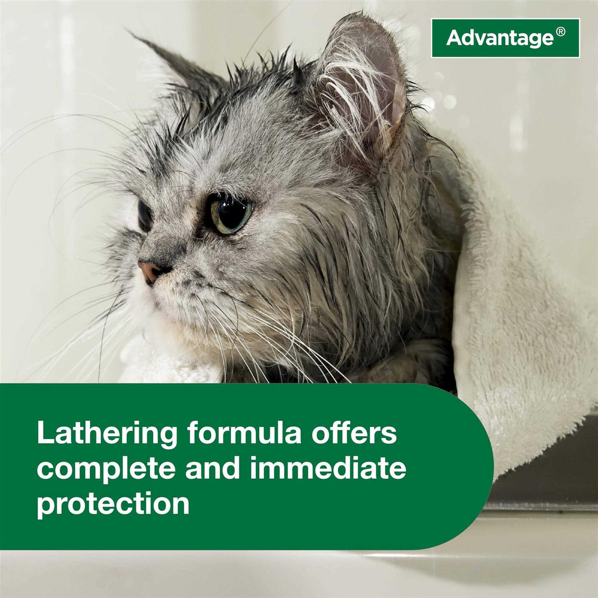 Flea & Tick Treatment Shampoo for Cats & Kittens C390