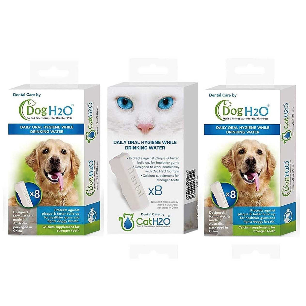 Dental Care Tablets W91199