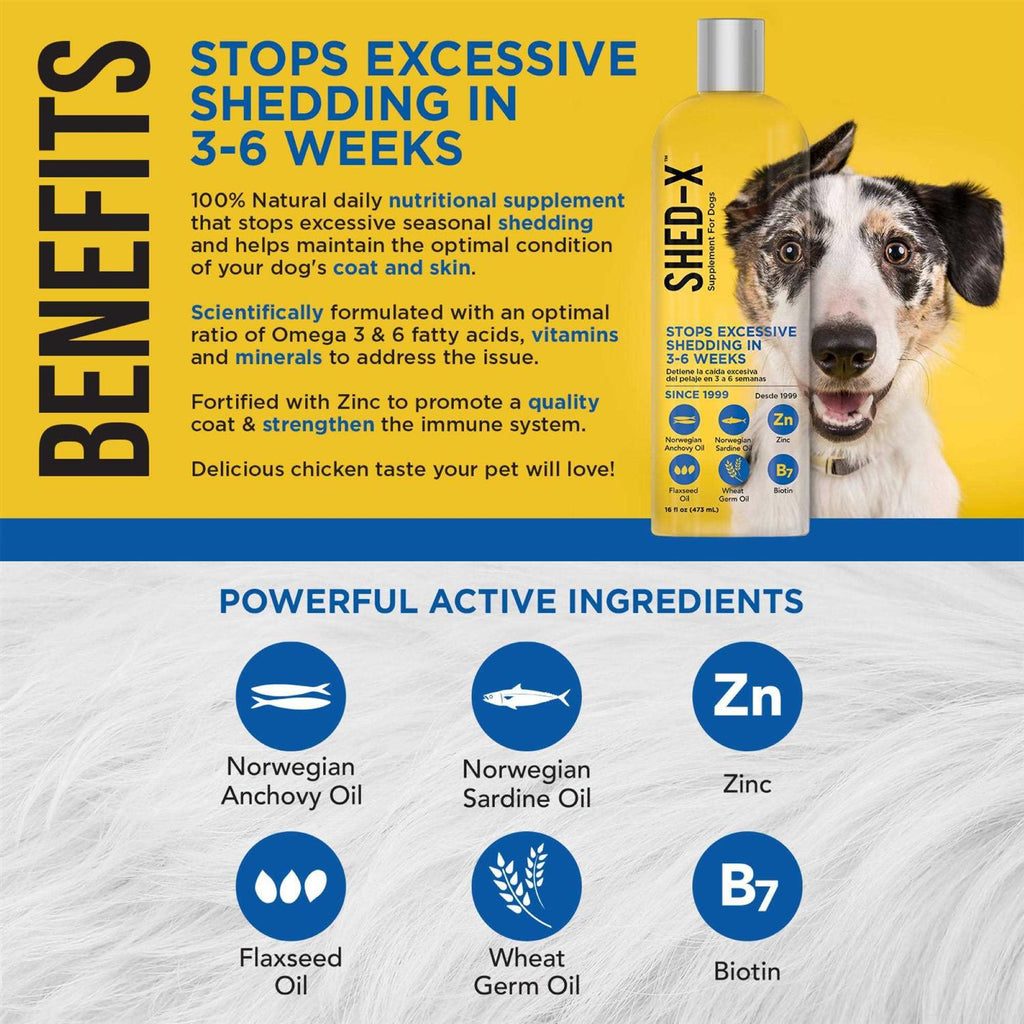 Liquid Supplement for Dogs C1166