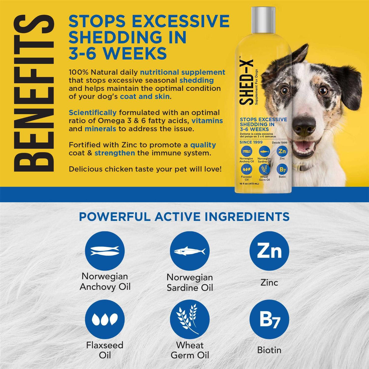 Liquid Supplement for Dogs C1166