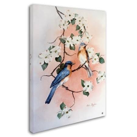 Bluebirds and Dogwood Canvas Art V4649
