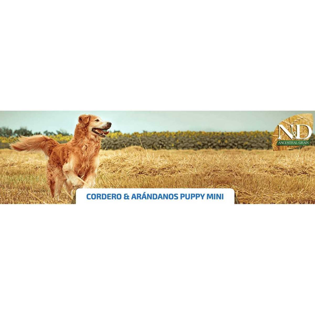Chicken & Pomegranate Dry Dog Food H585