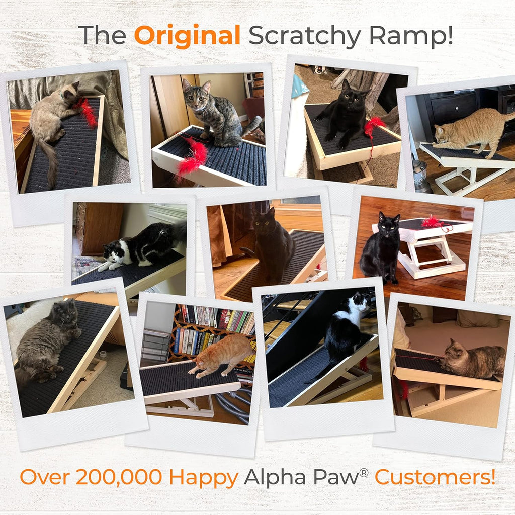 2-in-1 Cat Ramp & Cat Scratcher with Replaceable Carpet & Adjustable Height A266690