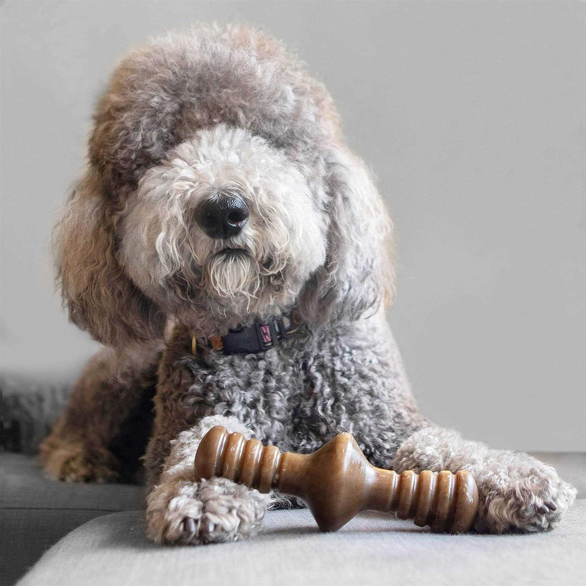 Chicken Dog Chew Toy K860756