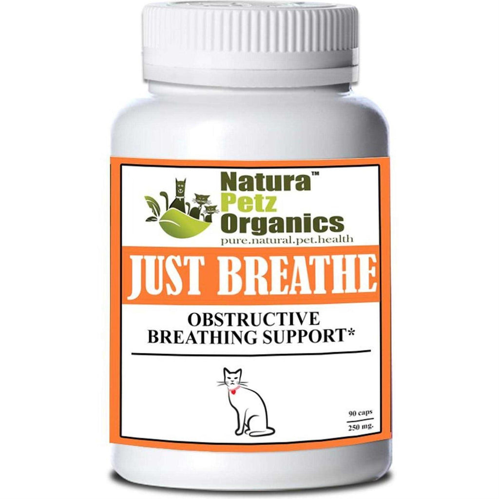 Capsules For Dogs And Cats Q368