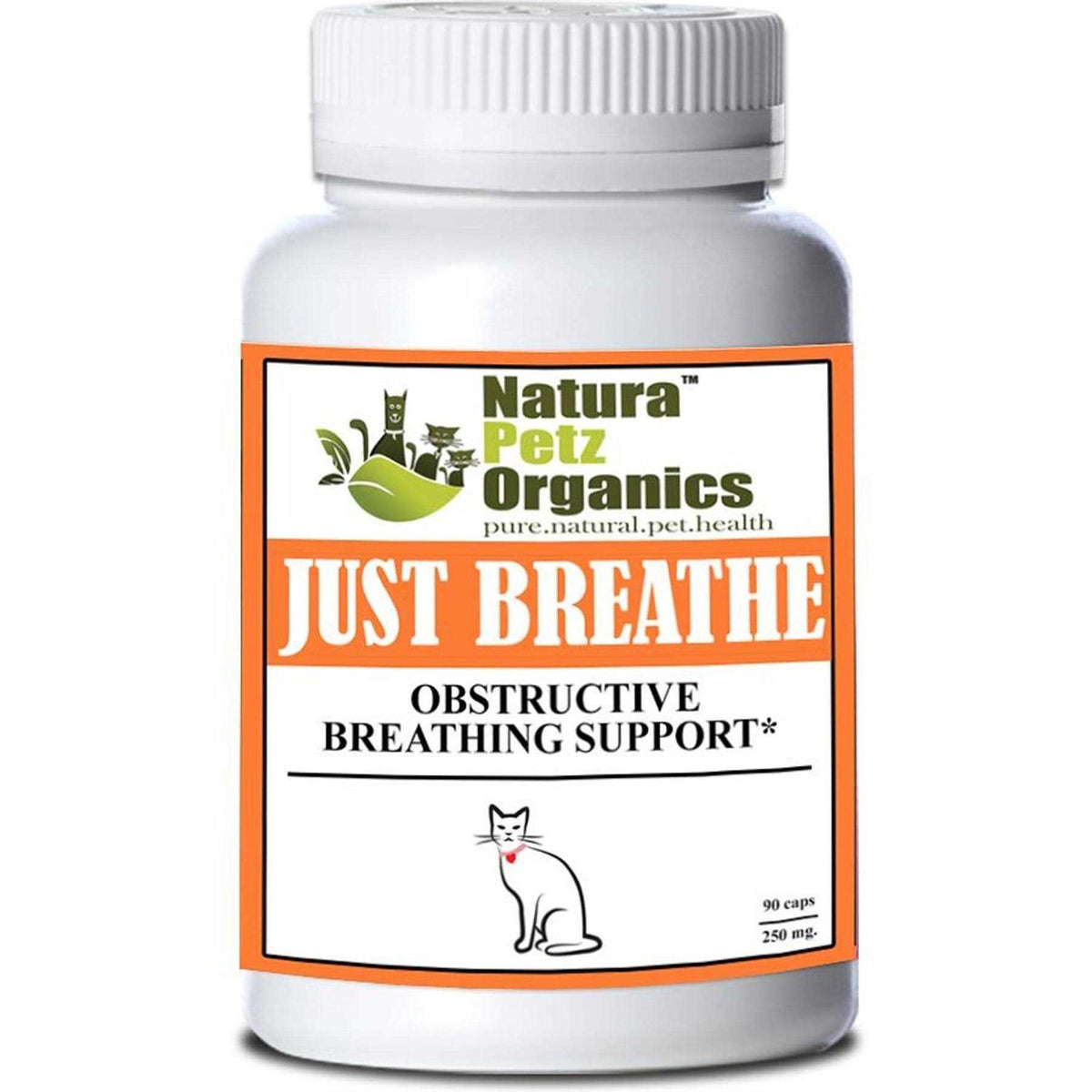Capsules For Dogs And Cats Q368