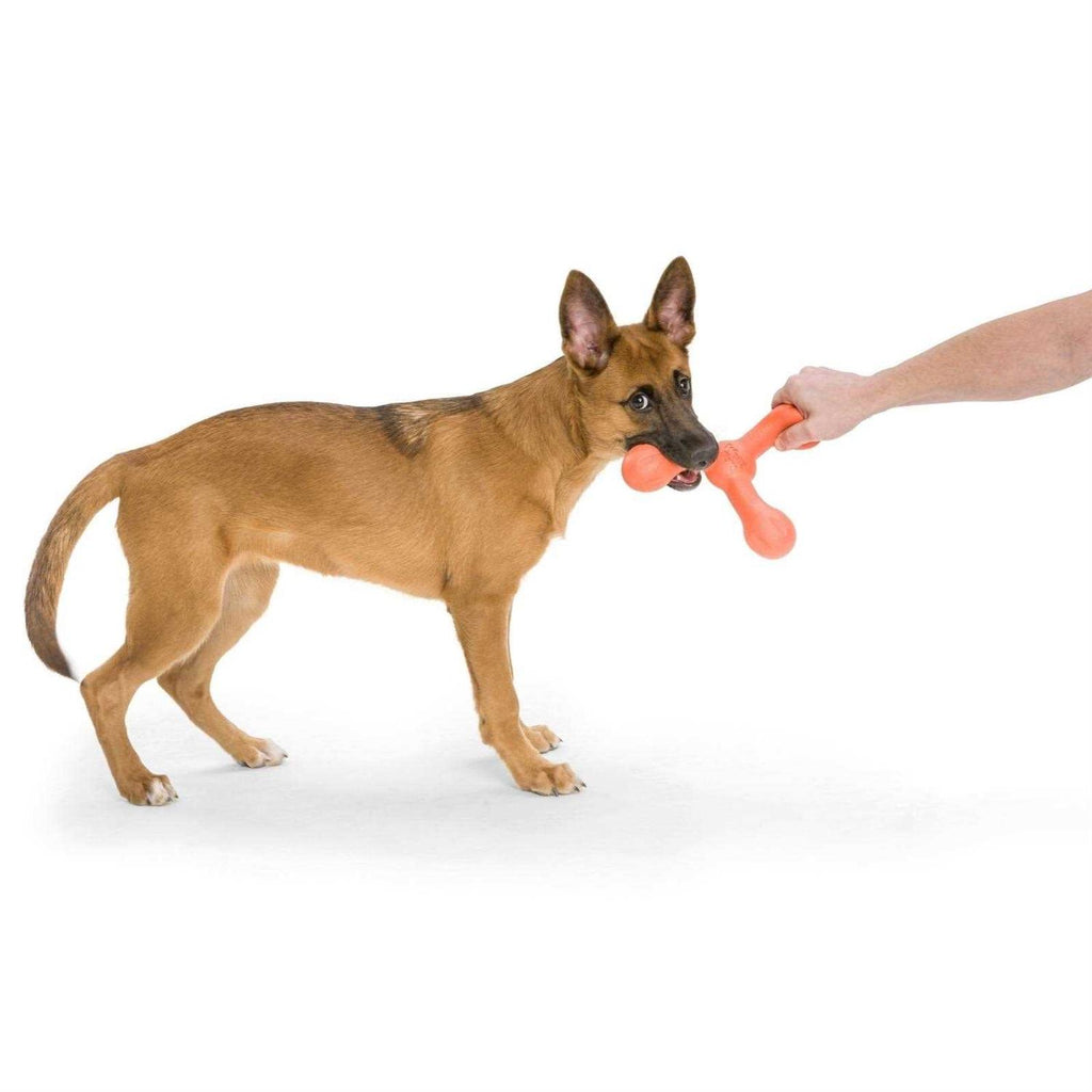 Skamp Dog Toy Q320