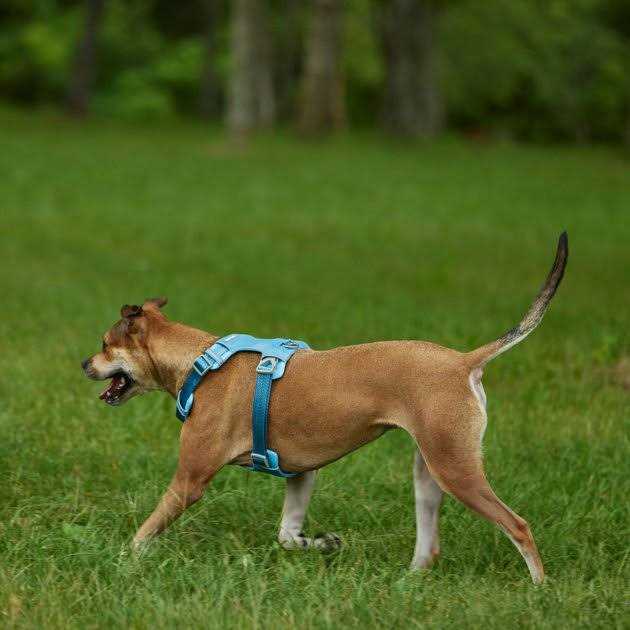 Lightweight Ripstop Nylon Dog Harness E6069