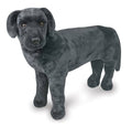 Plush Black Lab Y5758